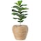 Vintiquewise Woven Round Flower Pot Planter Basket with Leak-Proof Plastic Lining - Large QI003832.L - alternate 1